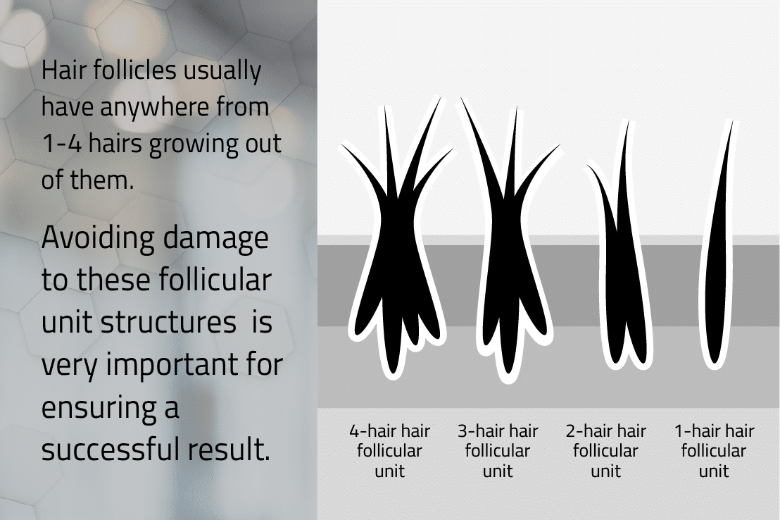 Hair follicular units